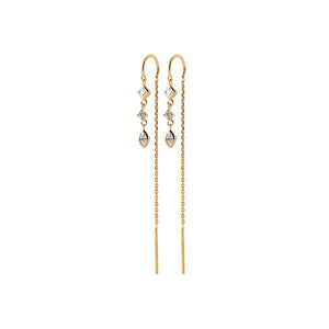 Earrings Akash