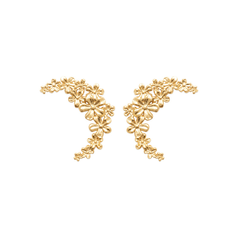 Earrings Kalyani