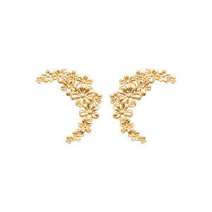 Earrings Kalyani