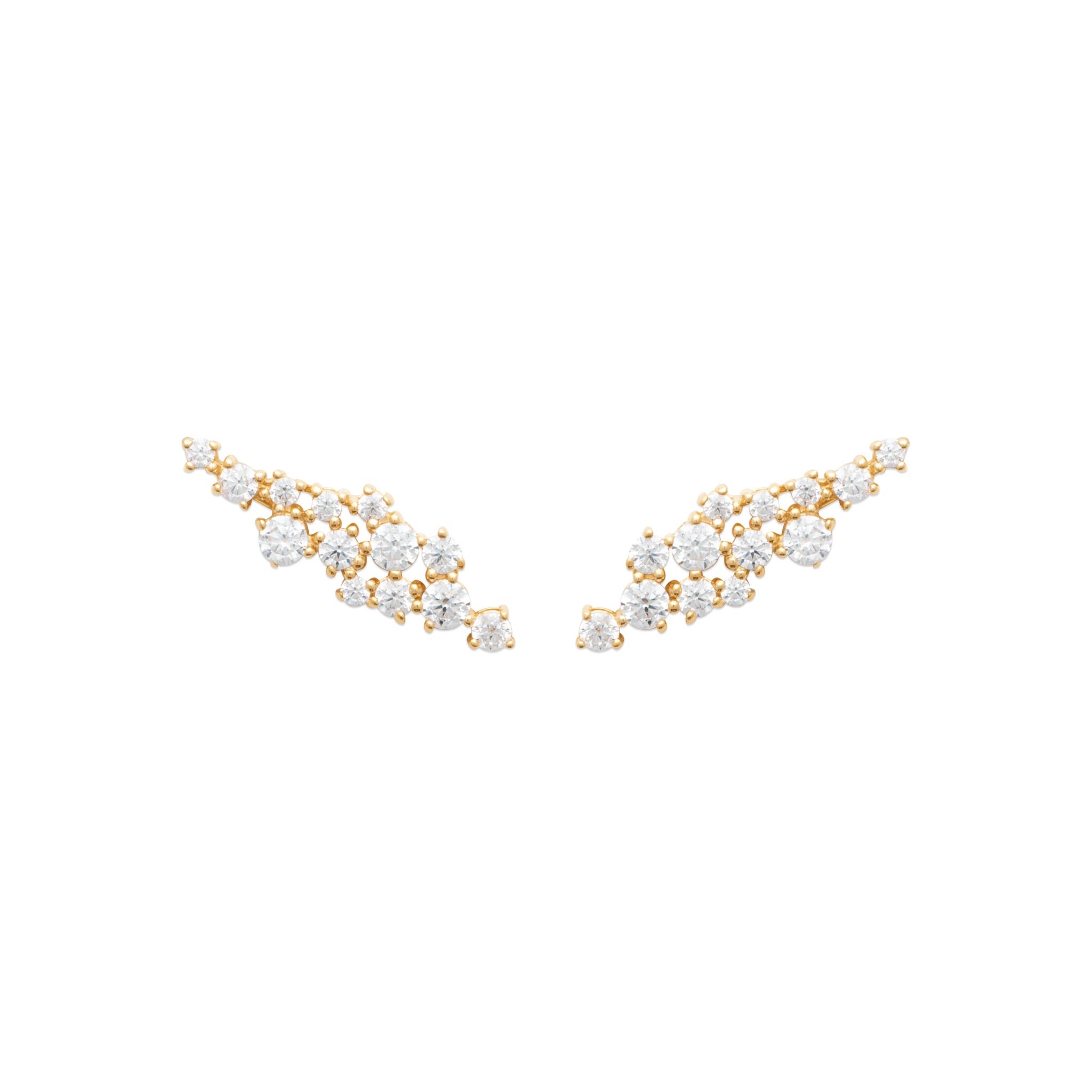 Earrings Anisha