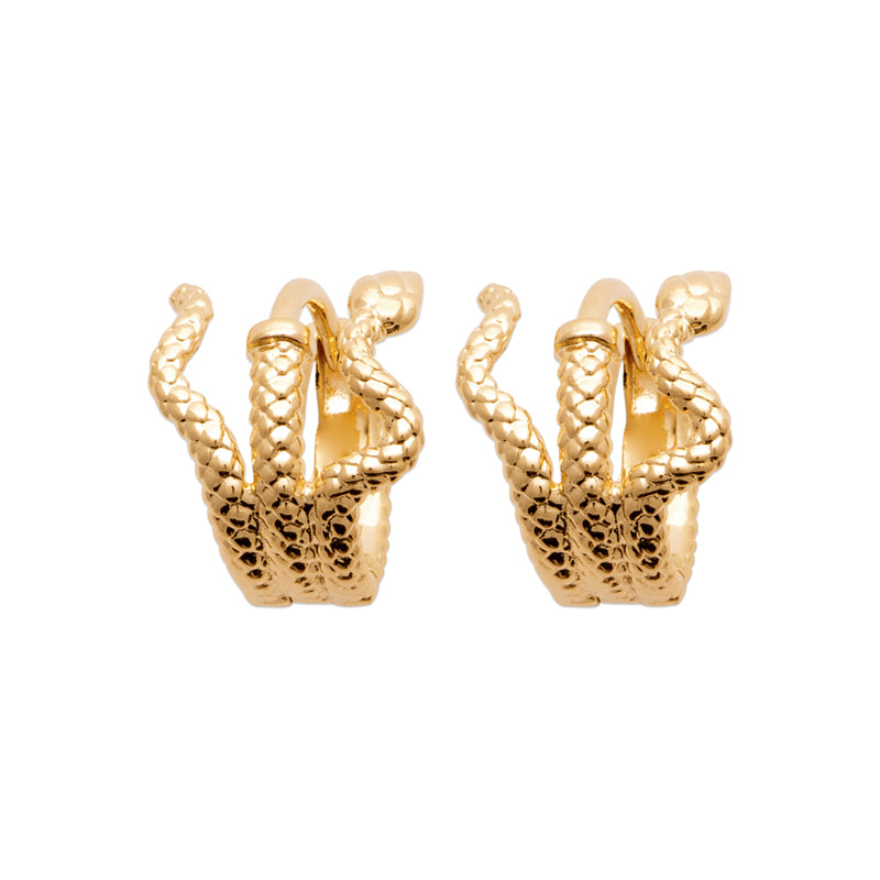 Earrings Anaya