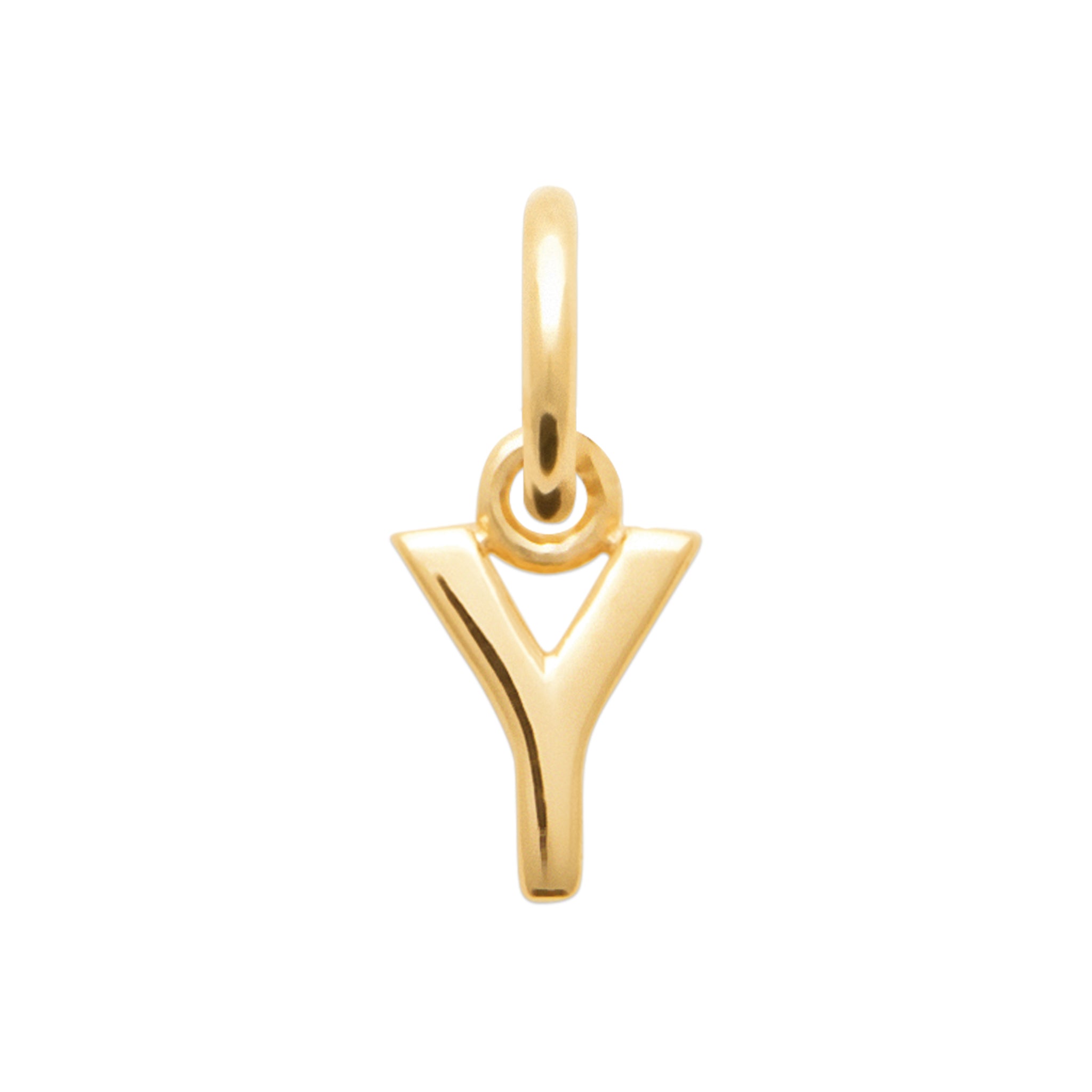 Charm Y