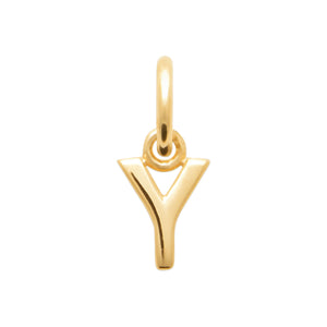 Charm Y